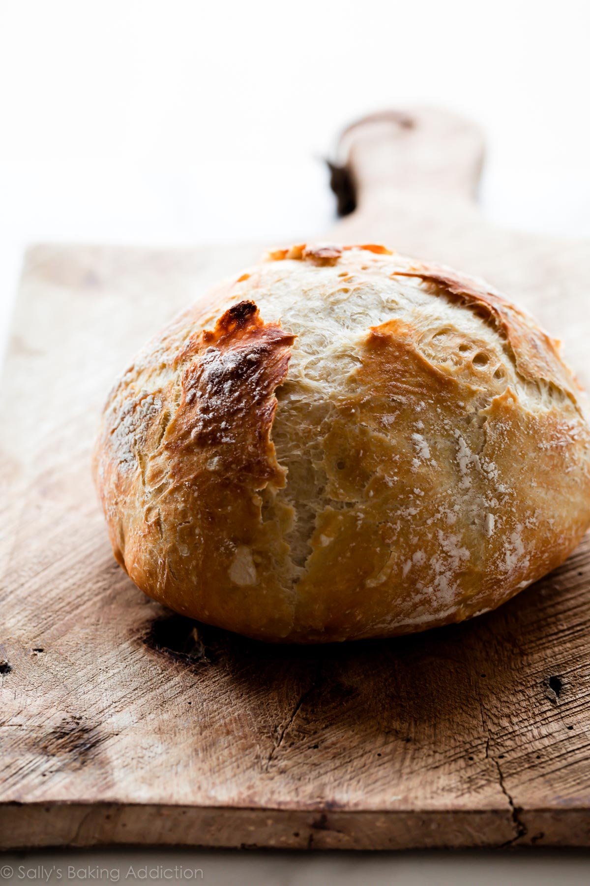 no knead bread